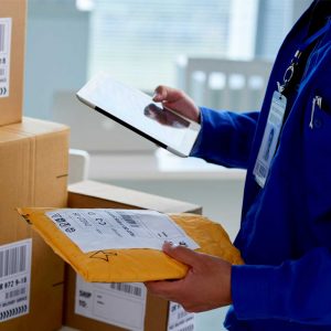 sistema para transportadora