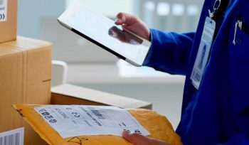 sistema para transportadora