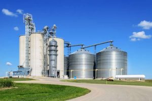 Expedição de Grãos