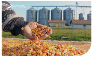 armazenagem de grãos