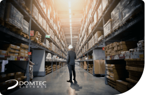 software multiestoque